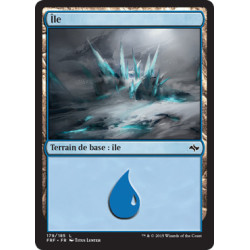 (Foil) Terrain - Île (V2) (L) [FRF]