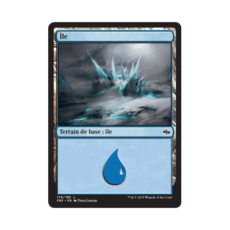 (Foil) Terrain - Île (V2) (L) [FRF]