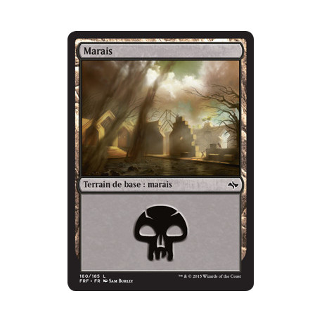 (Foil) Terrain - Marais (V1) (L) [FRF]