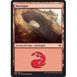 (Foil) Terrain - Montagne (V1) (L) [FRF]