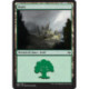 (Foil) Terrain - Forêt (V1) (L) [FRF]