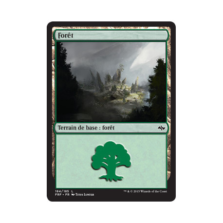 (Foil) Terrain - Forêt (V1) (L) [FRF]