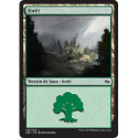 (Foil) Terrain - Forêt (V1) (L) [FRF]