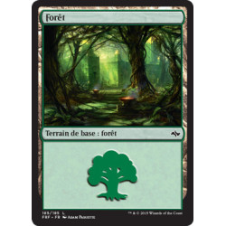 (Foil) Terrain - Forêt (V2) (L) [FRF]