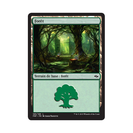 (Foil) Terrain - Forêt (V2) (L) [FRF]
