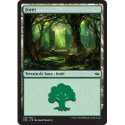(Foil) Terrain - Forêt (V2) (L) [FRF]
