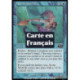 Bleue - Ondine arctique (C) [PLS]