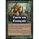 Verte - Exploratrice quirionaise (C) [PLS]