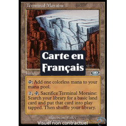 Terrain - Moraine frontale (U) [PLS]