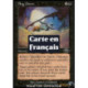 (Foil) Noire - Affaissement marécageux (C) [PLS]