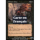 (Foil) Noire - Diablotin des volcans (C) [PLS]