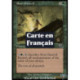 (Foil) Verte - Racine de malarice (C) [PLS]