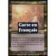 (Foil) Multicolore - Couverture nuageuse (R) [PLS]