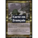 (Foil) Multicolore - Croisade de Dralnu (R) [PLS]
