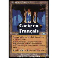 (Foil) Terrain - Caverne de Dromar (U) [PLS]