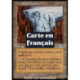 (Foil) Terrain - Moraine frontale (U) [PLS]