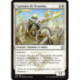 (Foil) Blanche - Capitaine de Dromoka (U) [DTK]