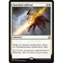 (Foil) Blanche - Épuration radieuse (R) [DTK]