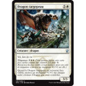 (Foil) Blanche - Dragon targepeau (U) [DTK]