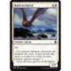 (Foil) Blanche - Rokh territorial (C) [DTK]