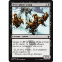 (Foil) Noire - Brise-glaces sibsig (C) [DTK]