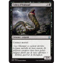 (Foil) Noire - Cobra d'Oukoud (U) [DTK]