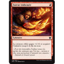 (Foil) Rouge - Fureur embrasée (C) [DTK]