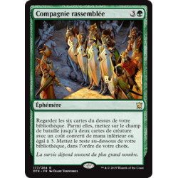 (Foil) Verte - Compagnie rassemblée (R) [DTK]