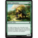 (Foil) Verte - Jeune colossodon (C) [DTK]