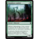 (Foil) Verte - Enjambeur conifère (C) [DTK]