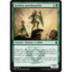 (Foil) Verte - Gardien portebouclier (C) [DTK]