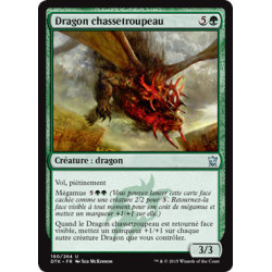 (Foil) Verte - Dragon chassetroupeau (U) [DTK]