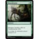 (Foil) Verte - Naturalisation (C) [DTK]