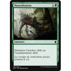 (Foil) Verte - Naturalisation (C) [DTK]