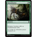 (Foil) Verte - Naturalisation (C) [DTK]