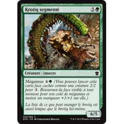 (Foil) Verte - Krotiq segmenté (C) [DTK]