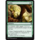 (Foil) Verte - Piaffer (C) [DTK]