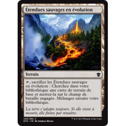 (Foil) Terrain - Étendues sauvages en évolution (C) [DTK]