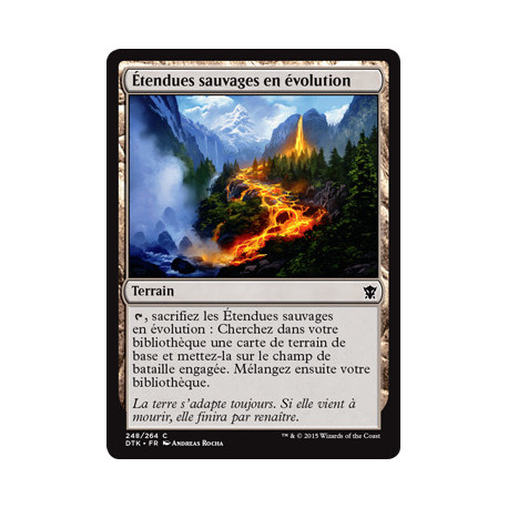 (Foil) Terrain - Étendues sauvages en évolution (C) [DTK]