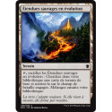 (Foil) Terrain - Étendues sauvages en évolution (C) [DTK]