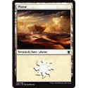 (Foil) Terrain - Plaine (V1) (L) [DTK]