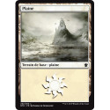 (Foil) Terrain - Plaine (V3) (L) [DTK]