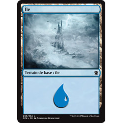(Foil) Terrain - Île (V1) (L) [DTK]