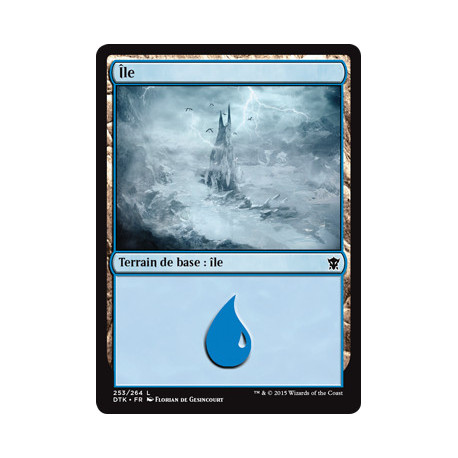 (Foil) Terrain - Île (V1) (L) [DTK]