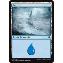 (Foil) Terrain - Île (V1) (L) [DTK]