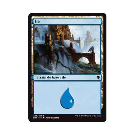 (Foil) Terrain - Île (V3) (L) [DTK]