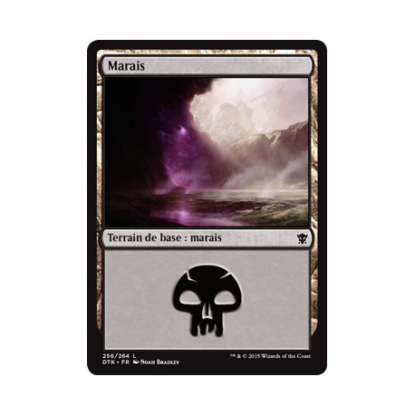 (Foil) Terrain - Marais (V1) (L) [DTK]