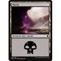 (Foil) Terrain - Marais (V1) (L) [DTK]