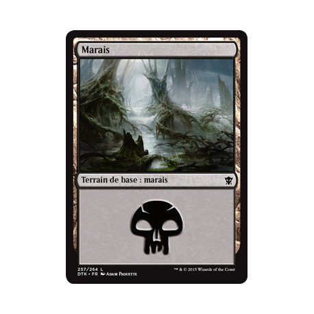 (Foil) Terrain - Marais (V2) (L) [DTK]