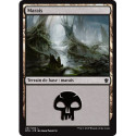 (Foil) Terrain - Marais (V2) (L) [DTK]